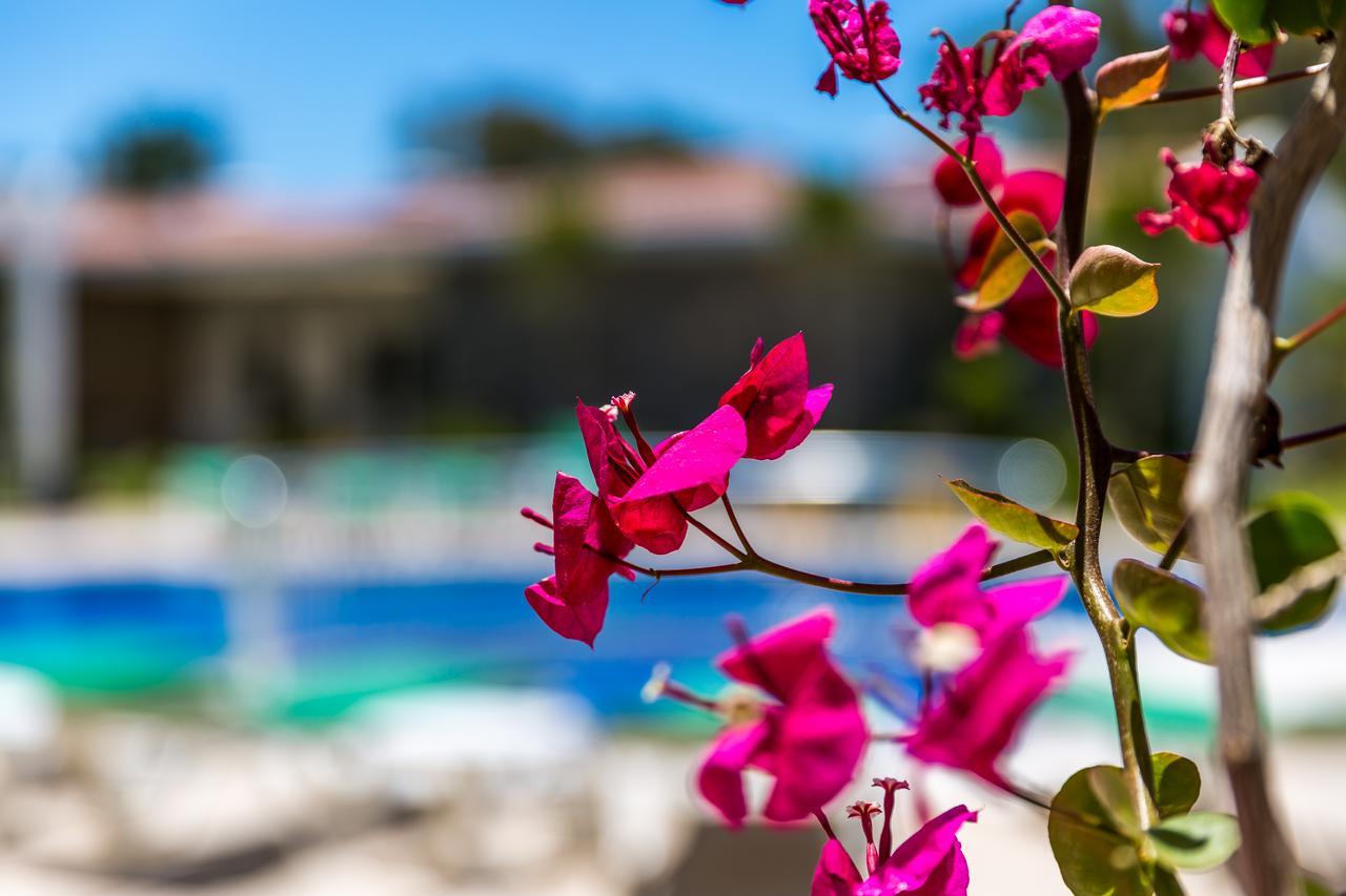 Kalina Hotel Datça Kültér fotó