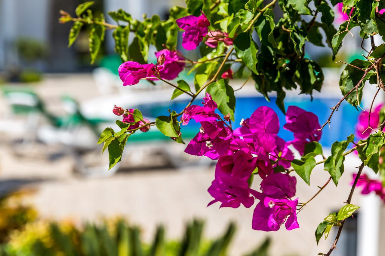 Kalina Hotel Datça Kültér fotó
